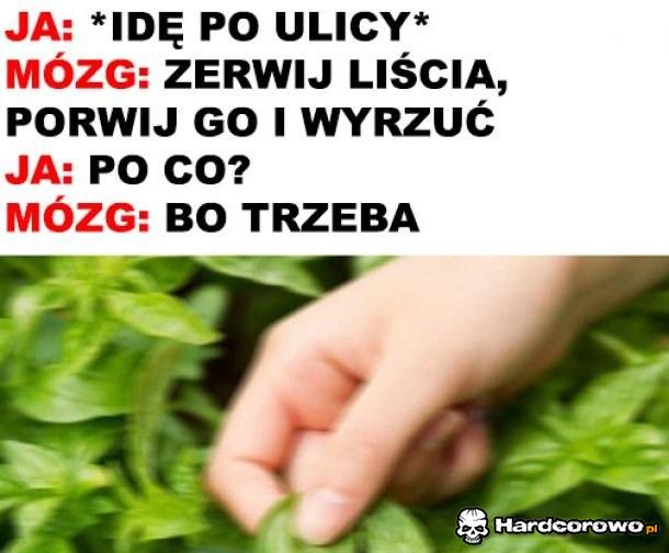 Trzeba i już - 1