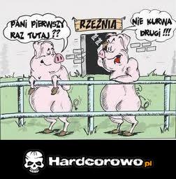 W rzeźni - 1