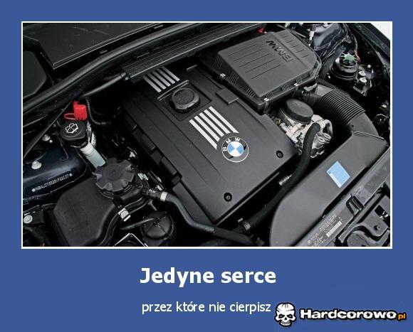 Jedyne serce - 1