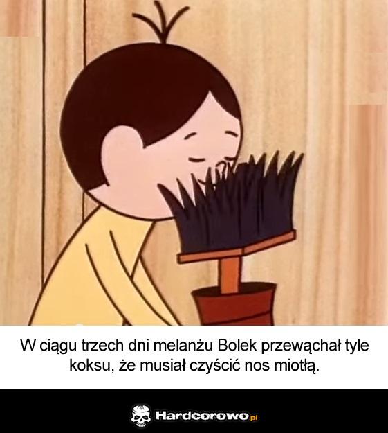 Bolek - 1