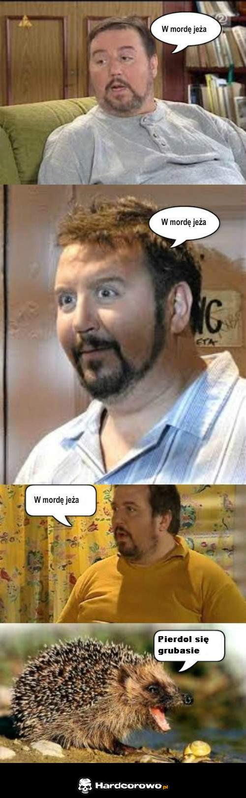 W mordę jeża - 1