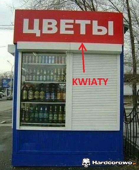 Kwiaty - 1