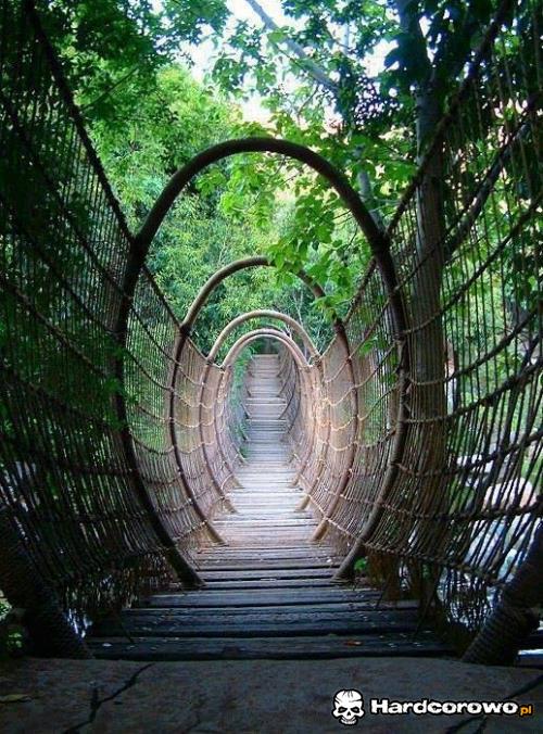 Mostowy tunel  - 1