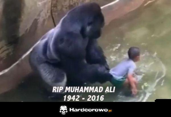 Muhammad Ali - 1