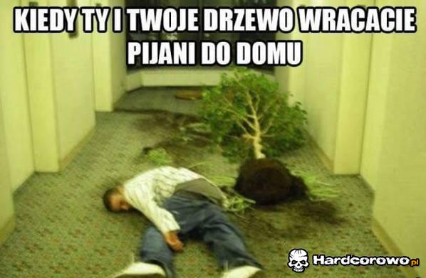 Powrót do domu - 1