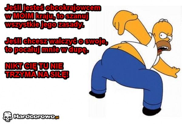 Jeśli jesteś obcokrajowcem w moim kraju  - 1
