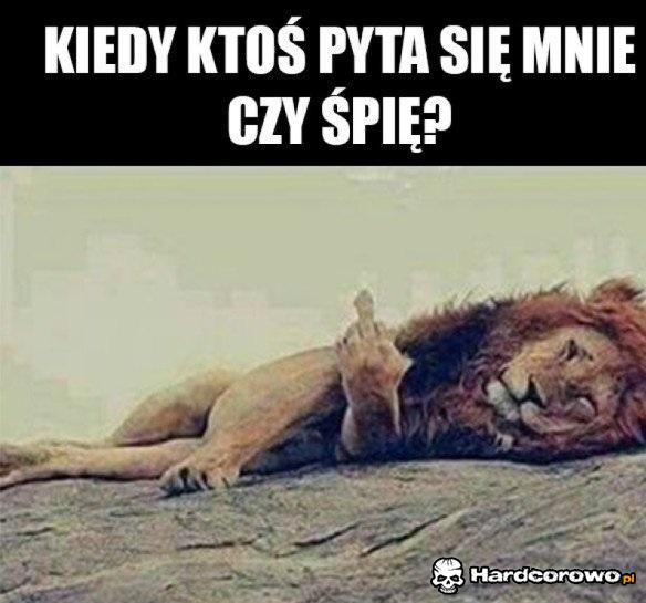 Durne pytanie - 1