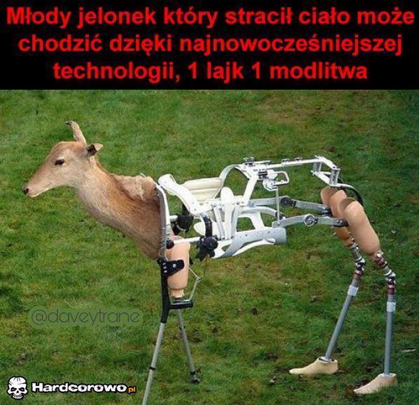 Jelonek  - 1