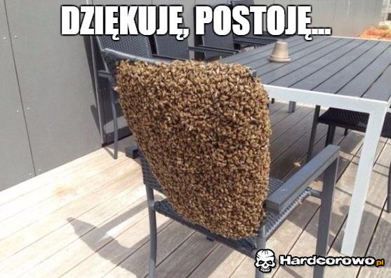 Krzesło dla teściowej - 1