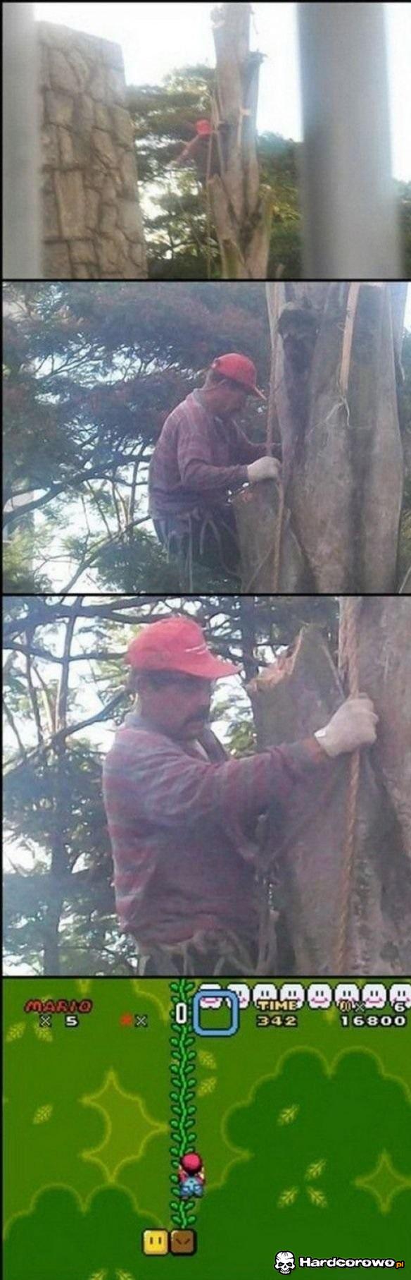 Mario, to ty? - 1