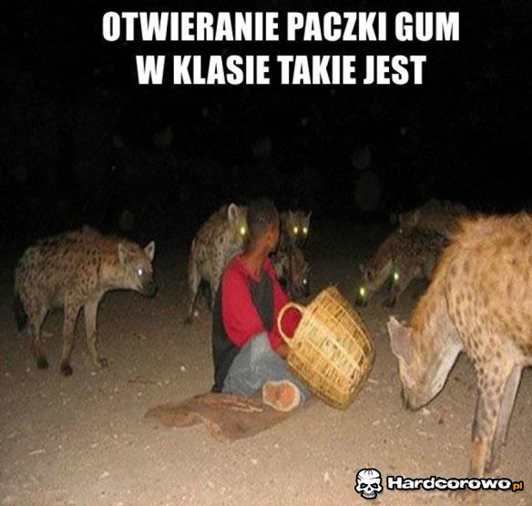 Uwaga hieny - 1