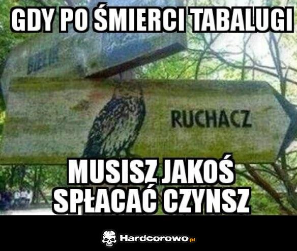 Nowa odsłona puchacza - 1
