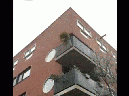 Sadzenie drzewka  - 1