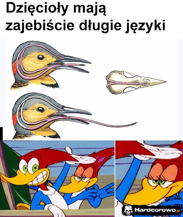  - 1