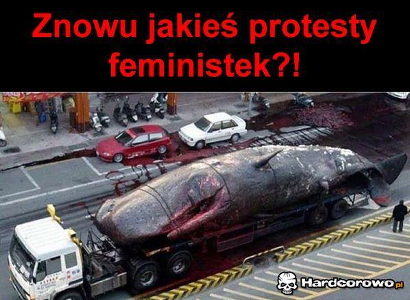 Na to wygląda - 1