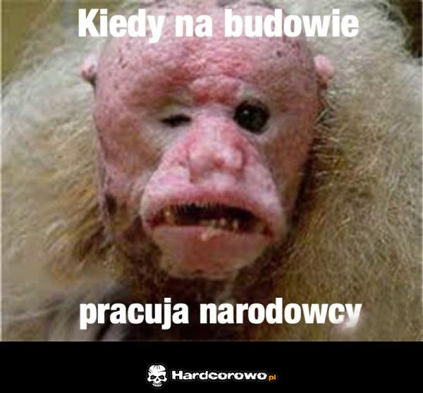 Narodowcy - 1