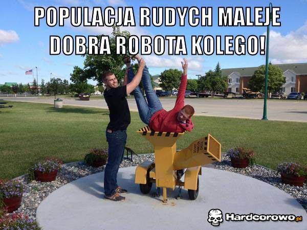Populacja rudych maleje - 1