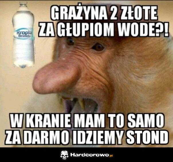 Janusz - 1