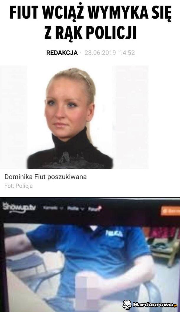 Funkcjonariusze mają pełne ręce roboty - 1