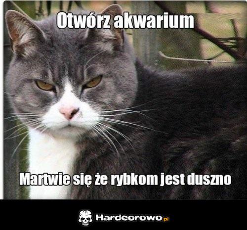 Otwórz akwarium  - 1