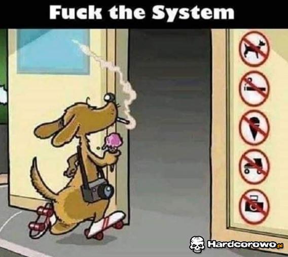 Walić system! - 1