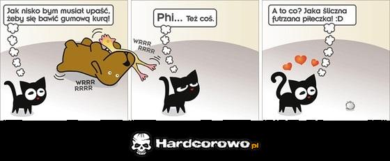 Kot i pies - 1