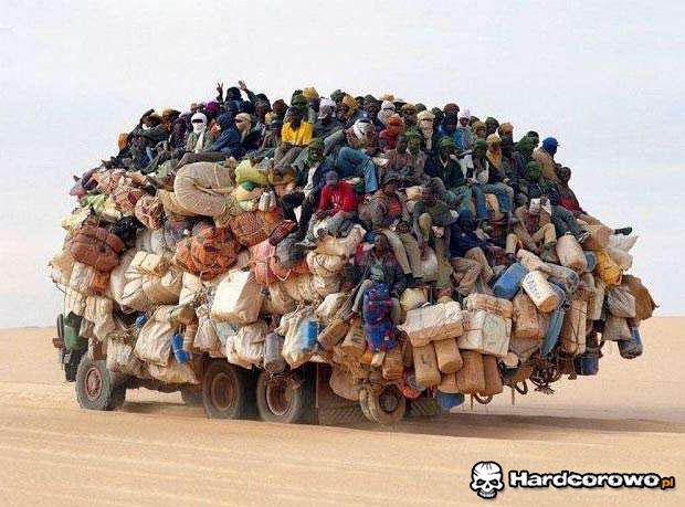 Transport - 1