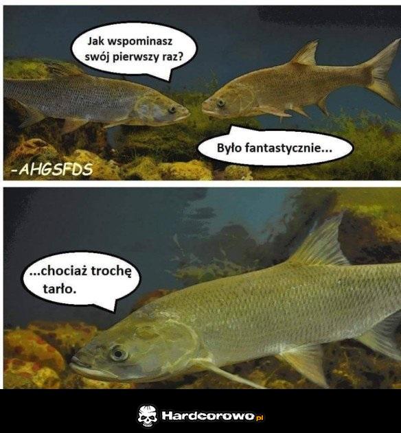 Mój pierwszy raz - 1