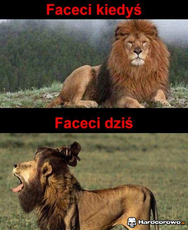 Faceci - 1