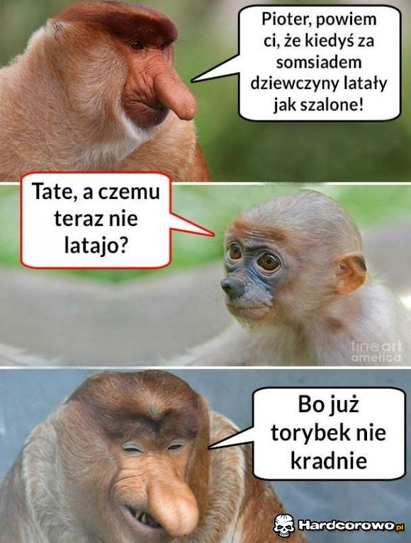 Somsiad miał powodzenie - 1