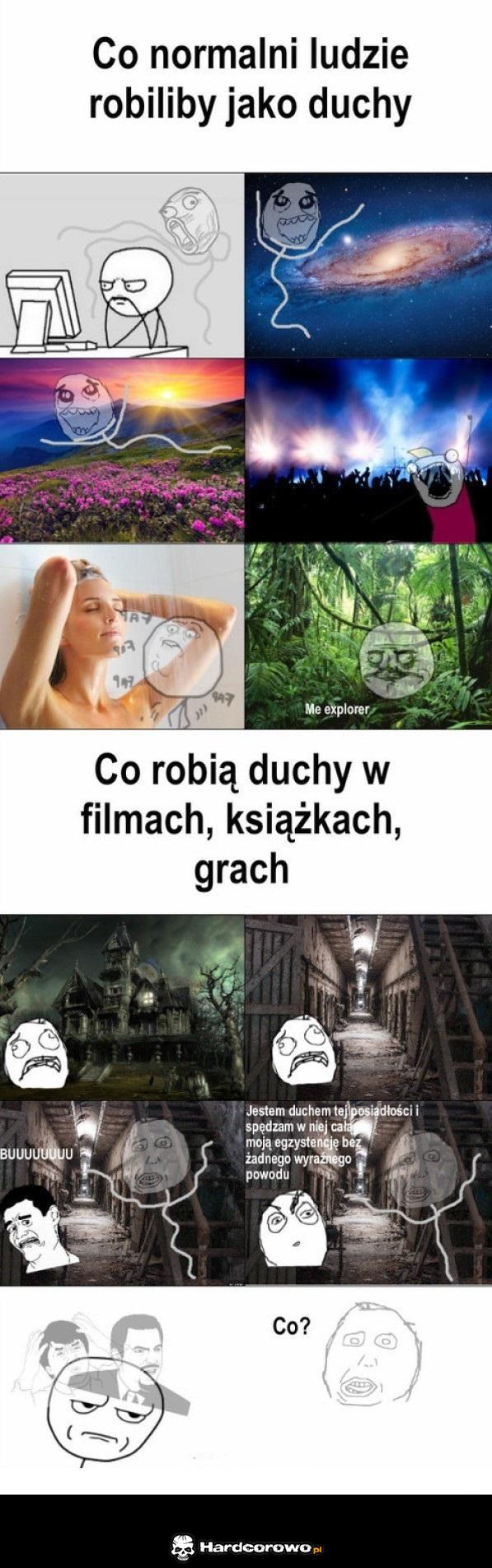 Co normalni ludzie robiliby jako duchy - 1
