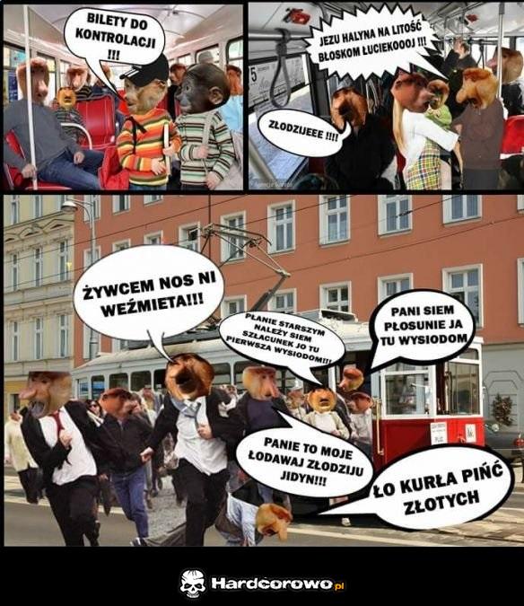 Polaki uciekają - 1