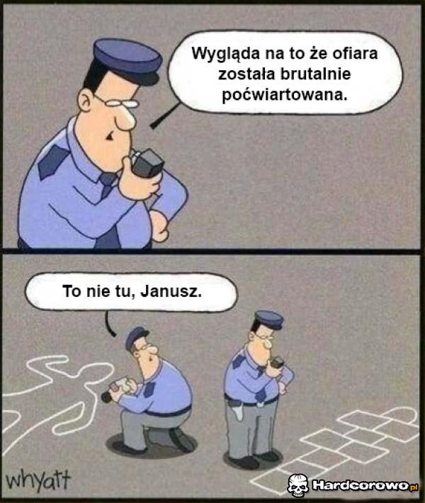 Janusz Policji - 1