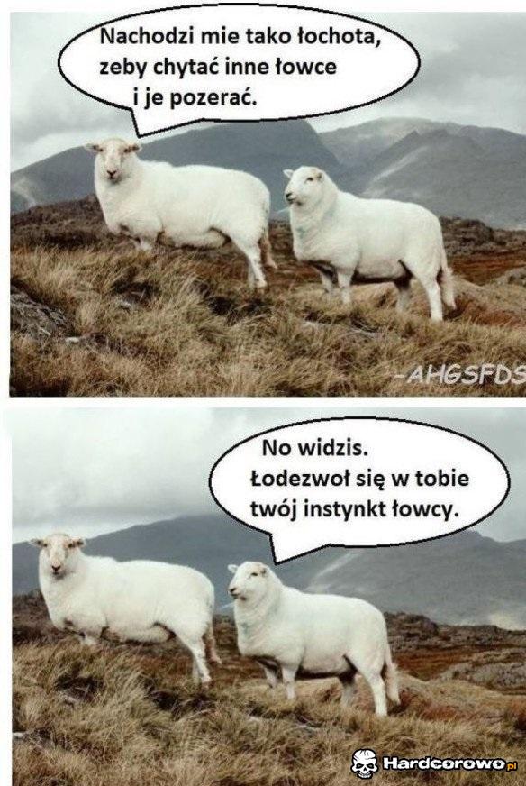 Instynkt łowcy - 1
