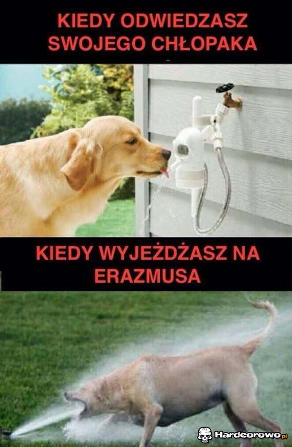 Twoja dziewczyna - 1