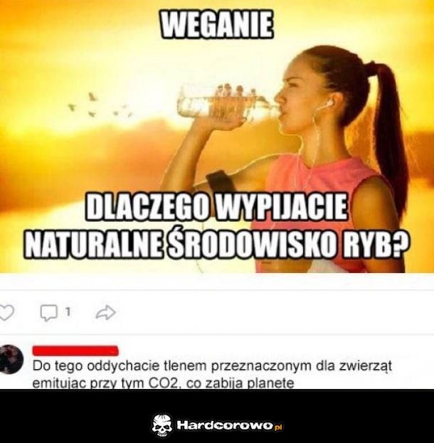 Krótko i na temat - 1