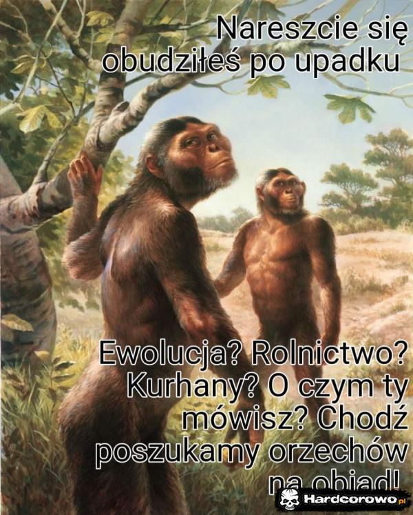  - 1