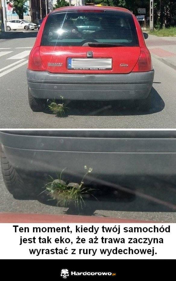 Eko wegański  samochód - 1