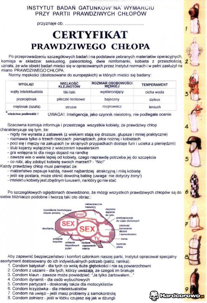 Certyfikat prawdziwego chłopca - 1