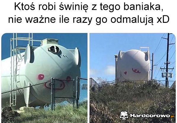 Świnka - 1