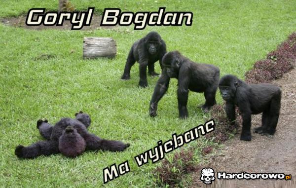 Goryl Bogdan  - 1