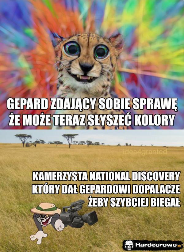  - 1