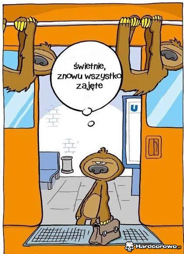 Leniwiec jadący metrem - 1