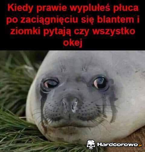 Jest ok - 1