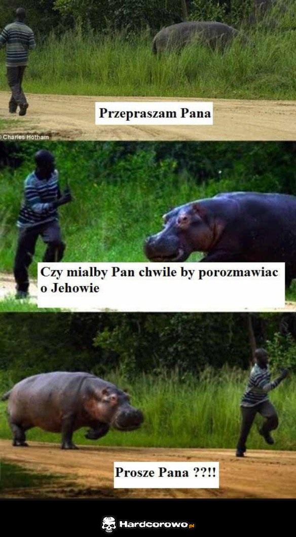 Chwila na rozmowę - 1