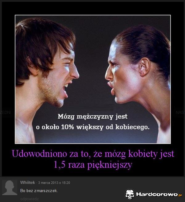 Mózg kobiety - 1