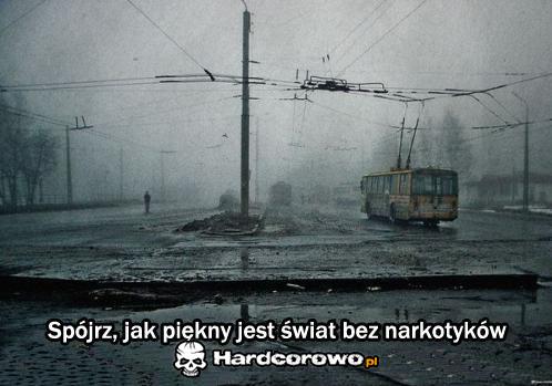 Świat bez narkotyków - 1