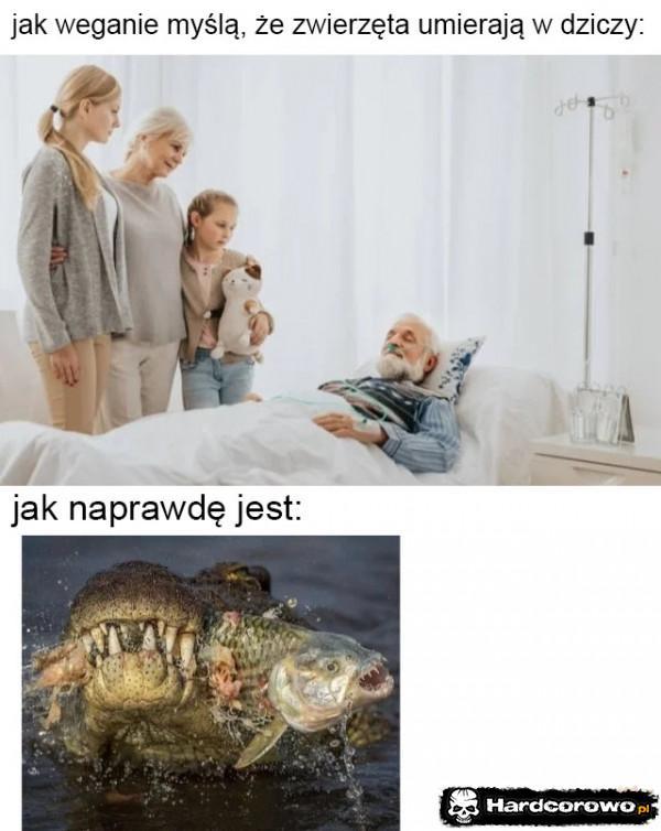  - 1
