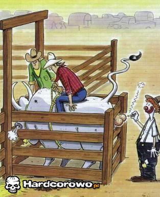 Ujeżdżanie byka  - 1