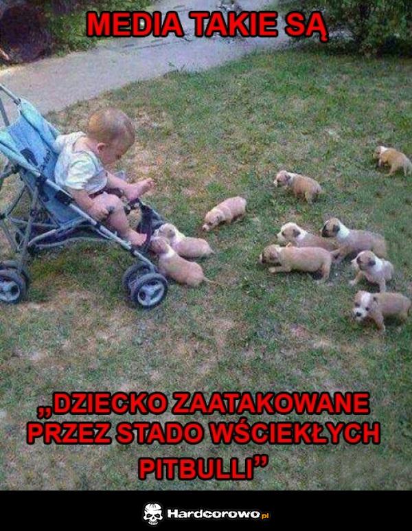 Media takie są - 1
